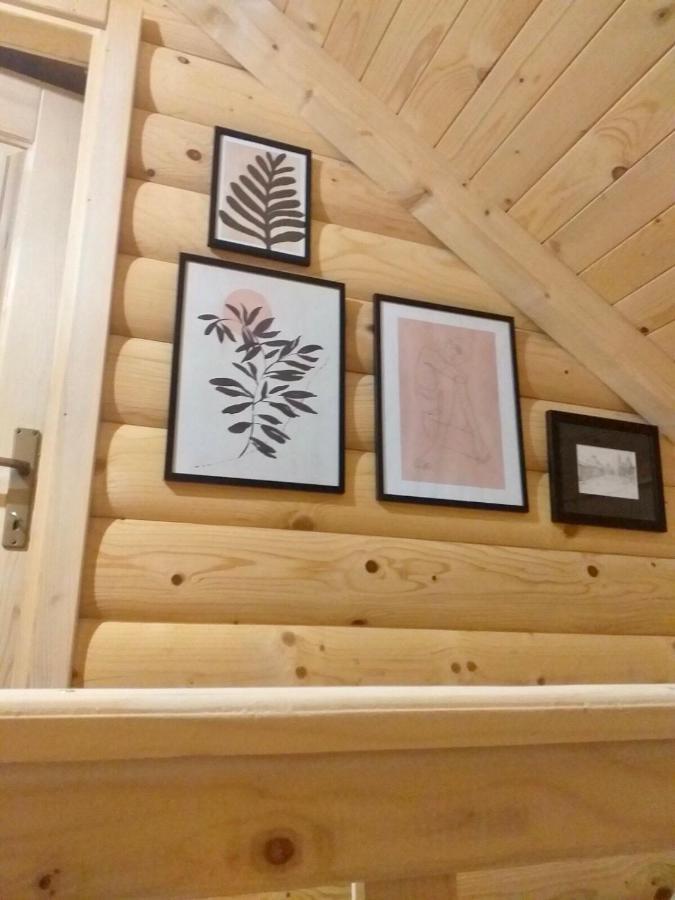 Rustic House Villa Kolašin Kültér fotó
