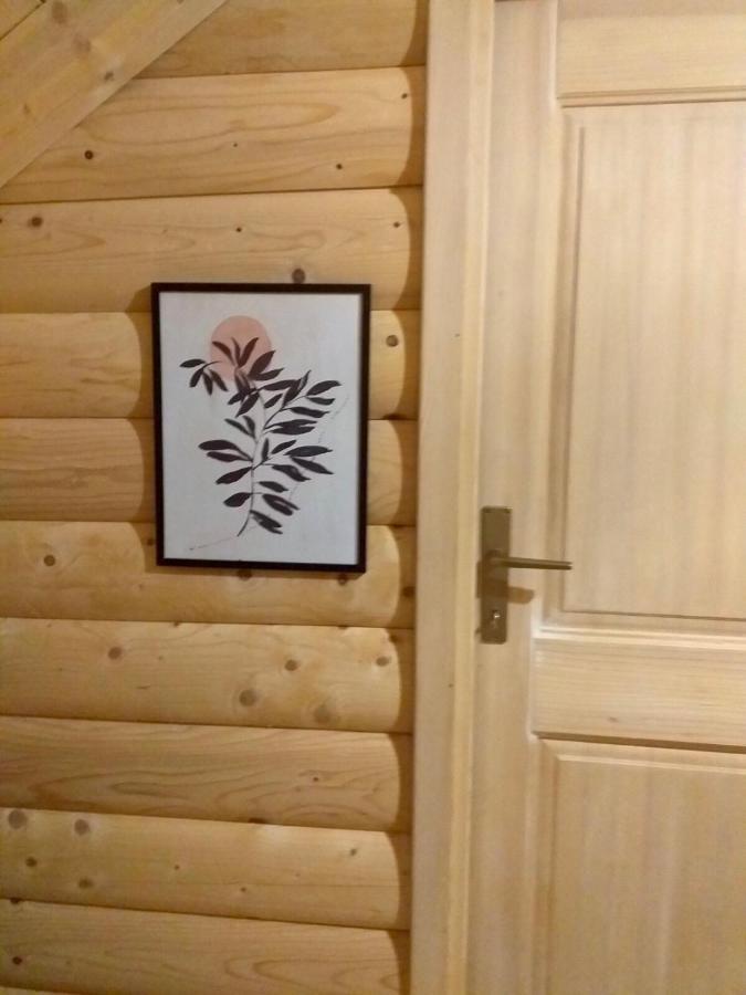 Rustic House Villa Kolašin Kültér fotó